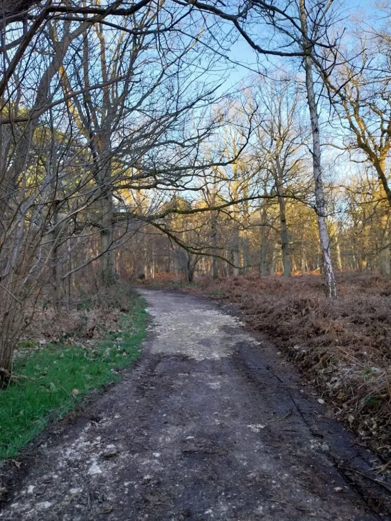 Lire la suite de l'actualité Les travaux sur le chemin 14 et les nouvelles dispositions prises pour le protéger